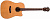 Электроакустическая гитара Washburn WD260SWCE