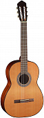 Гитара классическая Cort AC100 SG