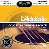 Струны для акустической гитары D'Addario EXP19 12-56