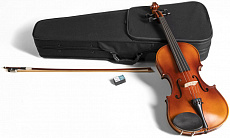 Скрипка альт 42см GEWApure (PS402216)