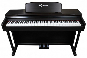 Цифровое пианино Solista DP801R