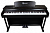 Цифровое пианино Solista DP801R