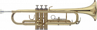 Труба Stagg WS-TR215S