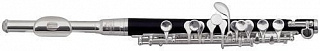 Флейта пикколо Roy Benson PC-502 (RB700420)