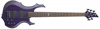Бас-гитара ESP LTD F-155DX DSTP