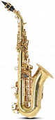Саксофон сопрано Roy Benson SG-302 (RB700695)