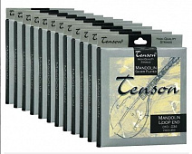 Струны для мандолины Tenson 10-34 (F600450)
